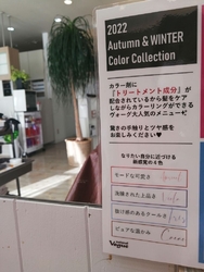 久しぶりにパー...