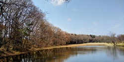 ひょうたん池の...