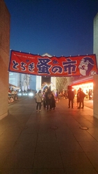 蚤の市に行きま...