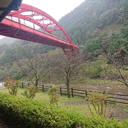 栃木に住んでい...