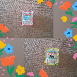 足利へ行ったの...
