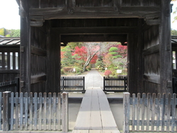 陶器市に来たの...