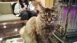 こちらでは、耐...