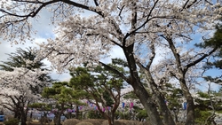 黒磯河畔公園は...
