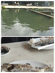 息子と伺いまし...