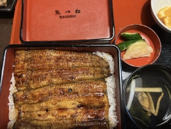 美味しい鰻を求...