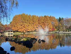 毎年今頃の季節...