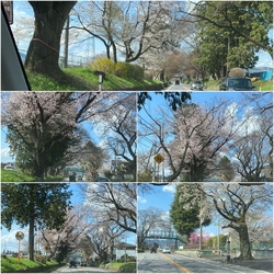 宇都宮市内から...