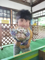 ハリネズミの触...