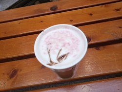 春が待ち遠しい...