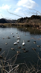 居た居た(⁠•...