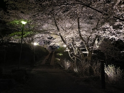 ここは茂木町を...