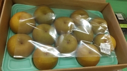 お盆のお遣い物...