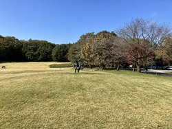 天気がよく気持...