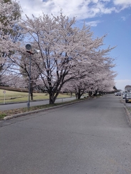 高根沢の御料牧...