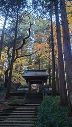 夕方に着いたの...