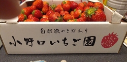 今年3回目の訪...