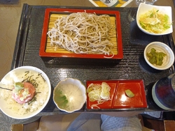 矢板カントリー...