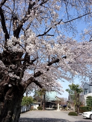 八角堂の中から...