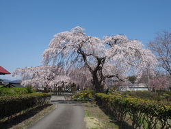 先日も伺ったば...