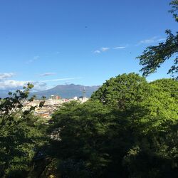 今朝も出勤前の...