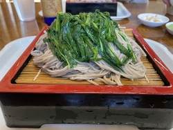 ニラ蕎麦最高。...