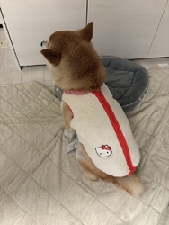 娘がコストコに...