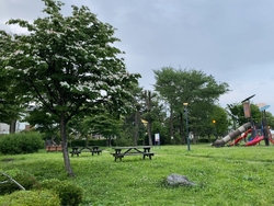 中岡本緑公園を...