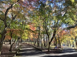 お散歩にぴった...