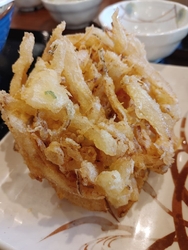 今回の１日半額...