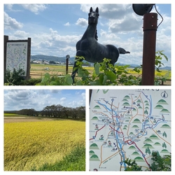 北向田運動公園...