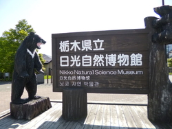 今回の宿泊先よ...