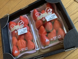 美味しそうな苺...