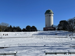 明け方まで雪が...