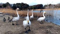 近くに来たので...