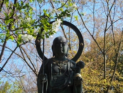 四季を通じて花...
