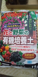 友人宅訪問帰り...
