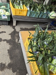 野菜を求めて買...