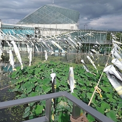 6月29日まで...
