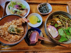 ランチ場所を求...