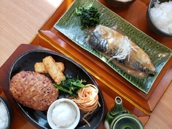 ランチで菜々家...