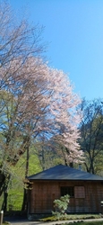 今日は、5月３...