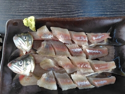 宇都宮市にある...