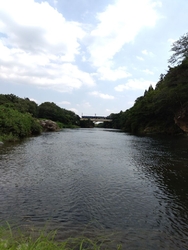 鬼怒川に釣行で...