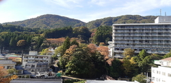 母と一緒に泊ま...