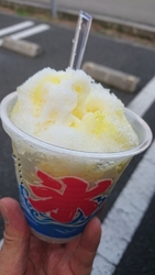 やっぱり暑い日...