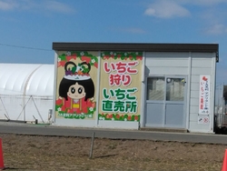 去年もお世話に...