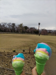 天気が悪かった...