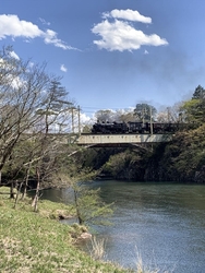 公園内にはオー...