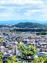 車で登って行く...